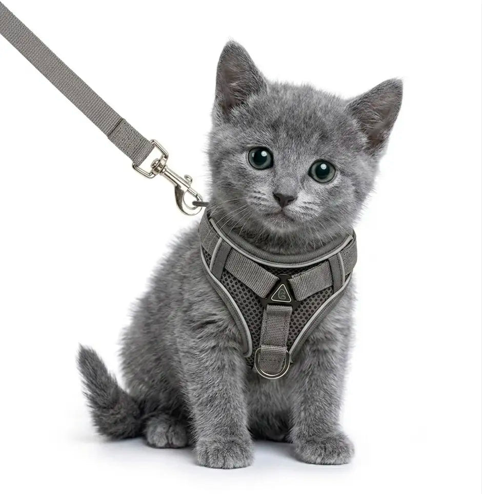 Leash Set: Escape-Proof Adjustable Cat Leash and Collar Made from Comfortable, Breathable Materials, with Adjustable Sizing. Reflective Soft Mesh Vest for Easy Safe Leash Walking. Includes a Summer Version; Breathable and Moisture-Wicking.