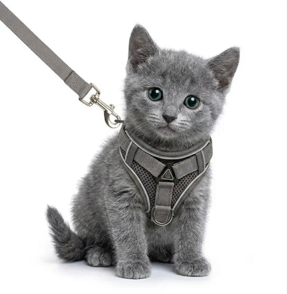 Leash Set: Escape-Proof Adjustable Cat Leash and Collar Made from Comfortable, Breathable Materials, with Adjustable Sizing. Reflective Soft Mesh Vest for Easy Safe Leash Walking. Includes a Summer Version; Breathable and Moisture-Wicking.