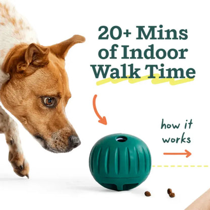 Woof Walkabout Enrichment Dog Puzzle Toy and Treat Dispenser - Adjustable Difficulty for Kibble and Treats - Durable Rubber Construction - Easy to Clean